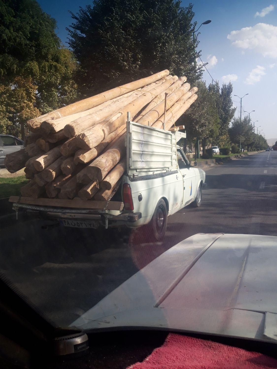 چوب سرخانه وباغی خریدارم|خدمات باغبانی و درختکاری|ملایر, |دیوار