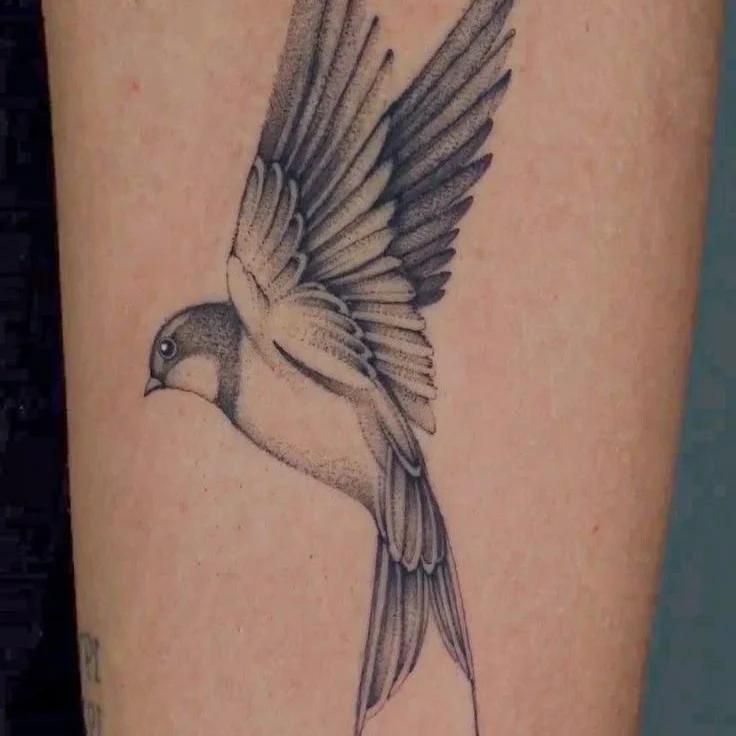 آموزش تتوبدن|خدمات آرایشگری و زیبایی|کرمانشاه, |دیوار