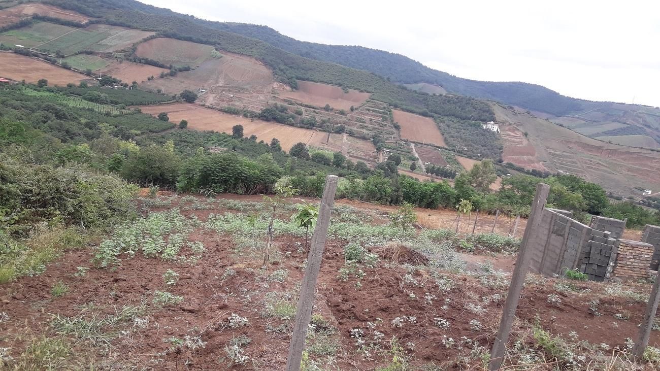 معاوضه وفروش زمین 1000متری بین توشن وگلند فخر آباد|فروش زمین و ملک کلنگی|گرگان, |دیوار