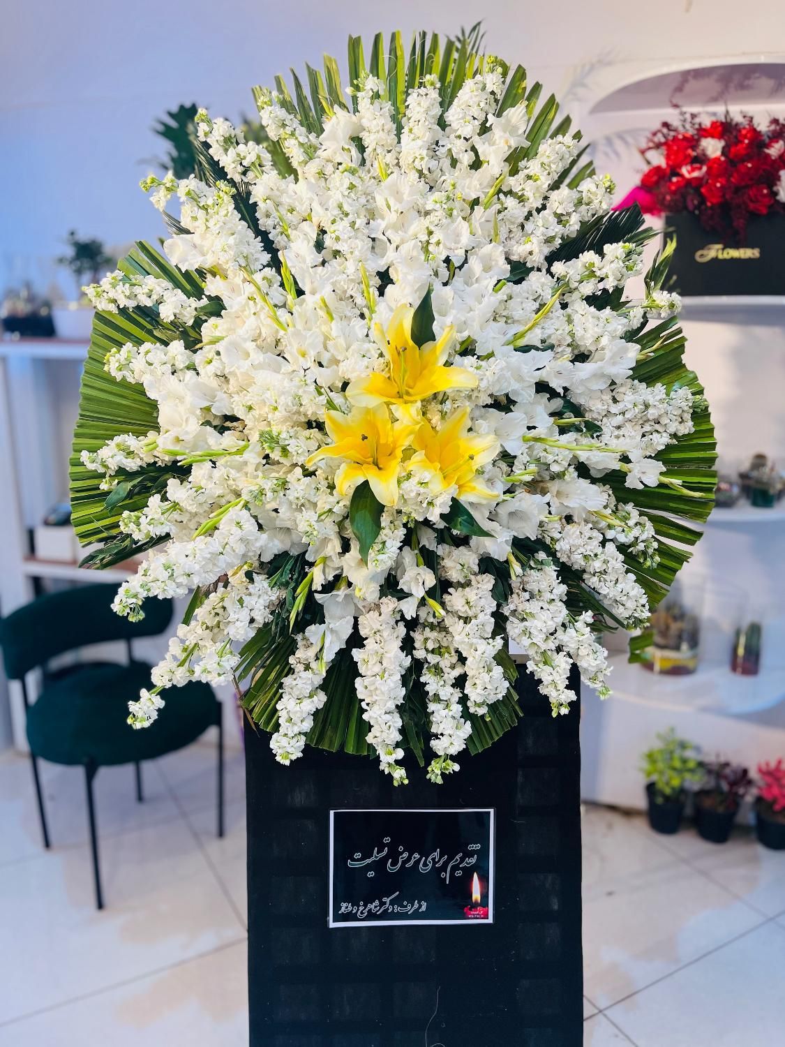 تاجگل طبیعی|گل و گیاه طبیعی|یزد, |دیوار