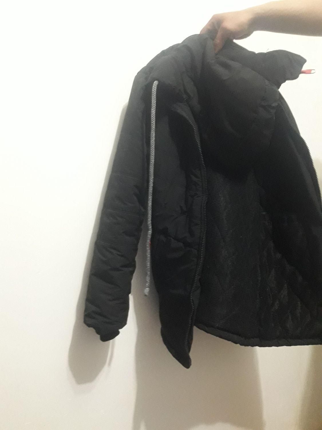 کاپشن درحدنو|لباس|مشگین شهر, |دیوار