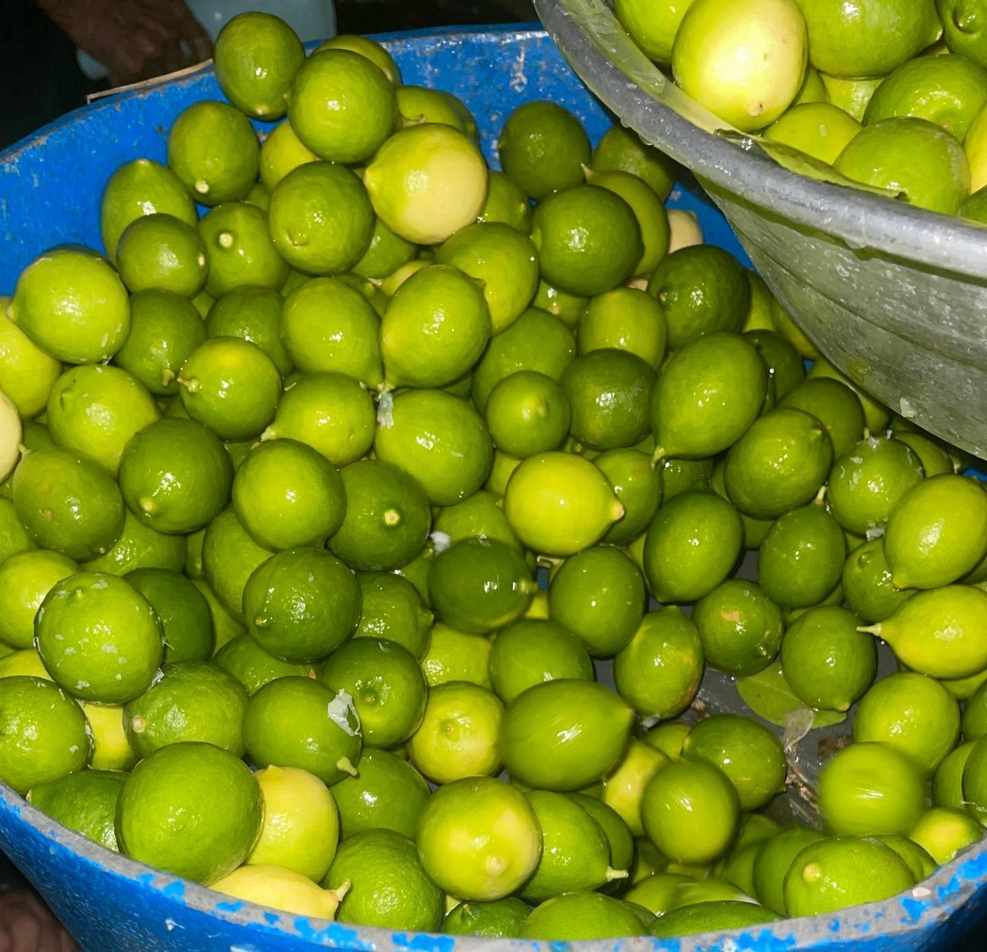 ابلیموگیری  سبحان|خوردنی و آشامیدنی|بندرعباس, |دیوار