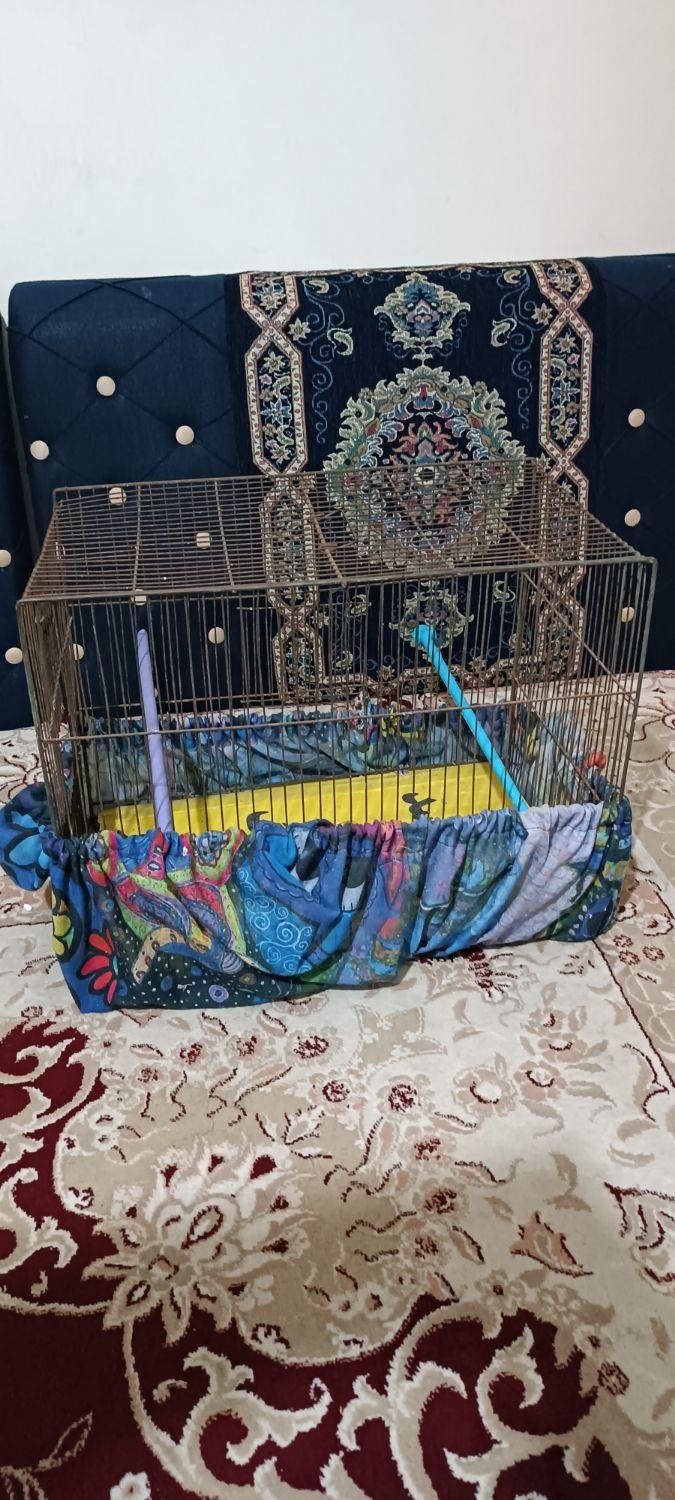 قفس|لوازم جانبی حیوانات|دلیجان, |دیوار