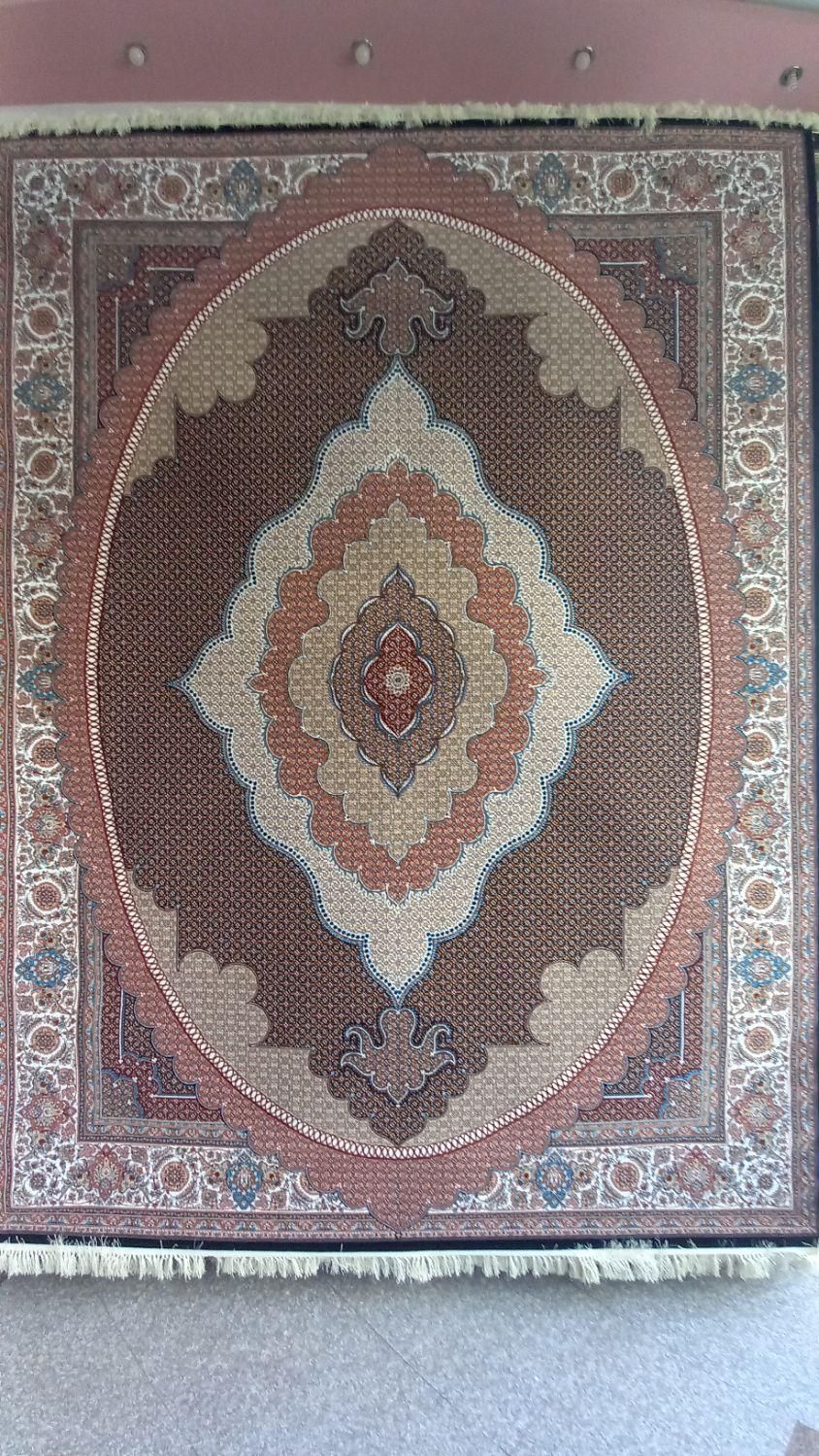 فرش۷۰۰تاج ماهی،هاشیه(سرای‌فرش‌محمدی)|فرش|اردبیل, |دیوار