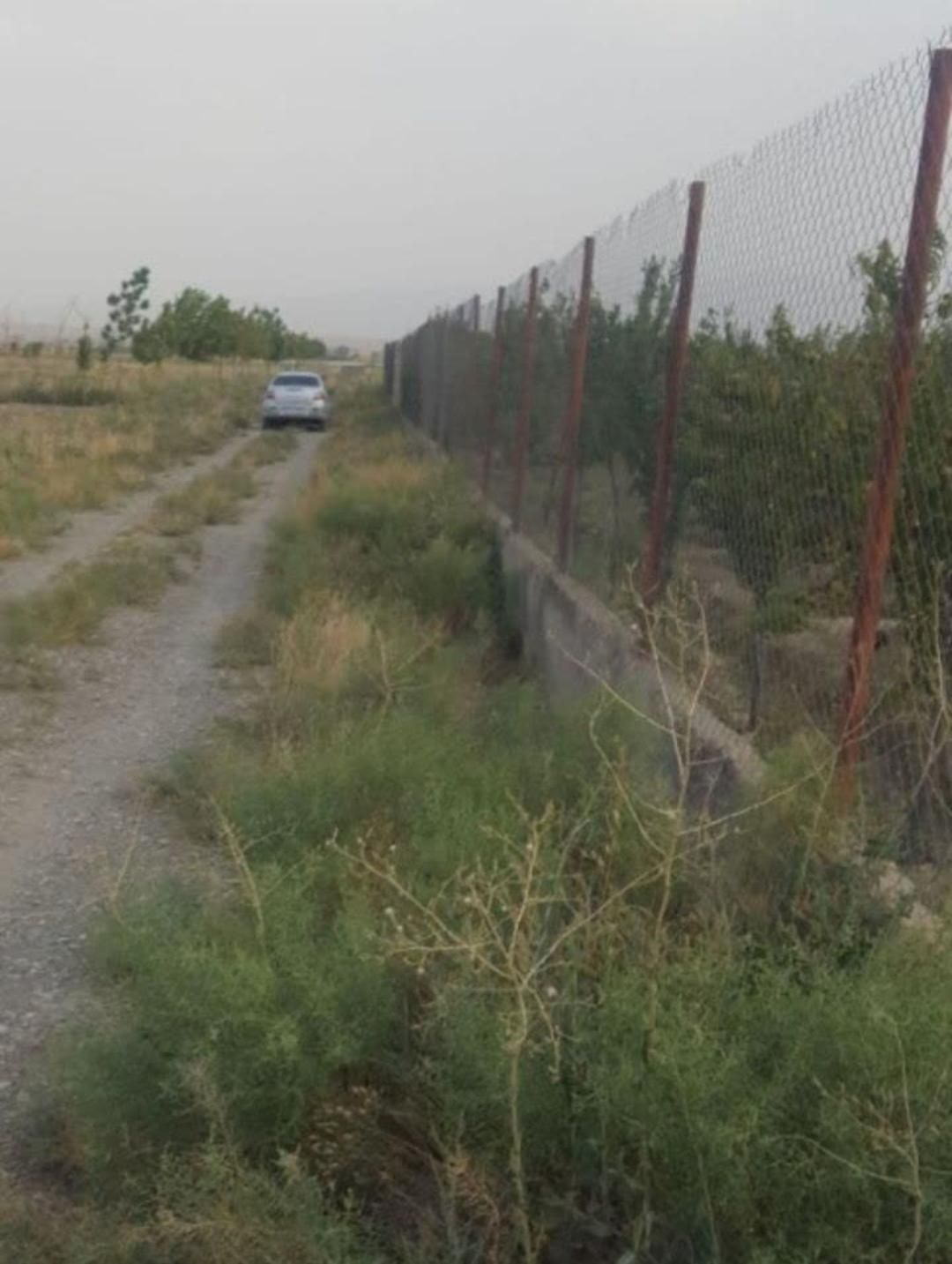 زمین زراعی مناسب باغچه و گلخانه|فروش زمین و ملک کلنگی|نظرآباد, نجم آباد|دیوار