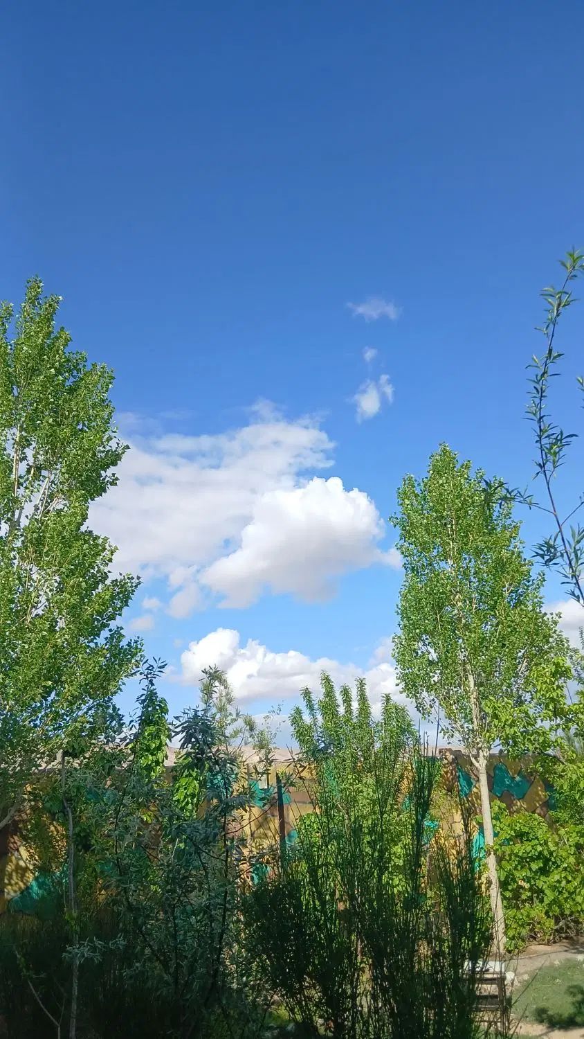 زمین ملکی با قیمت استثنایی|فروش زمین و ملک کلنگی|مشهد, كنويست|دیوار