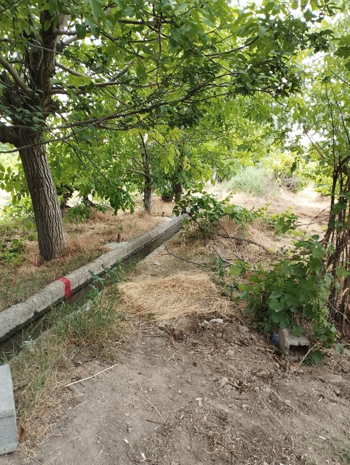 فروش باغچه ۳۴۰ متری بااقساط بلندمدت|فروش زمین و ملک کلنگی|رباطکریم, انجم آباد|دیوار