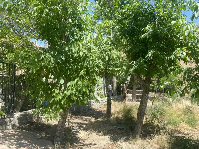 ۱۰۰۰ متر باغ * لاکچری * سند تکبرگ * زیر قیمت|فروش زمین و ملک کلنگی|تهران, چیتگر شمالی|دیوار