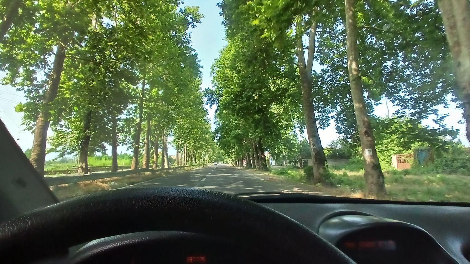 ۲۰۶ سالم تیپ دو فرانسه|خودرو سواری و وانت|فومن, |دیوار