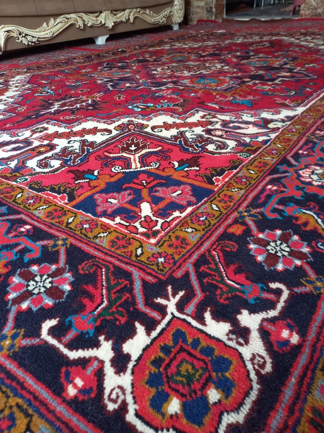 تک فرش دست بافت هریس تاجری|فرش|تبریز, |دیوار