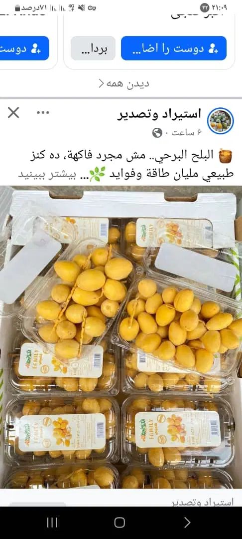 خرما و خارک درجه یک آبادان|خوردنی و آشامیدنی|تهران, مرزداران|دیوار