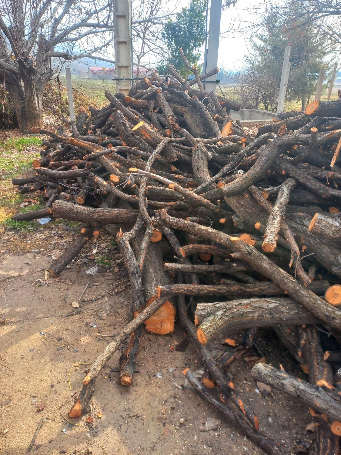 خریدار چوب تر و خشک|خدمات باغبانی و درختکاری|خرمآباد, |دیوار