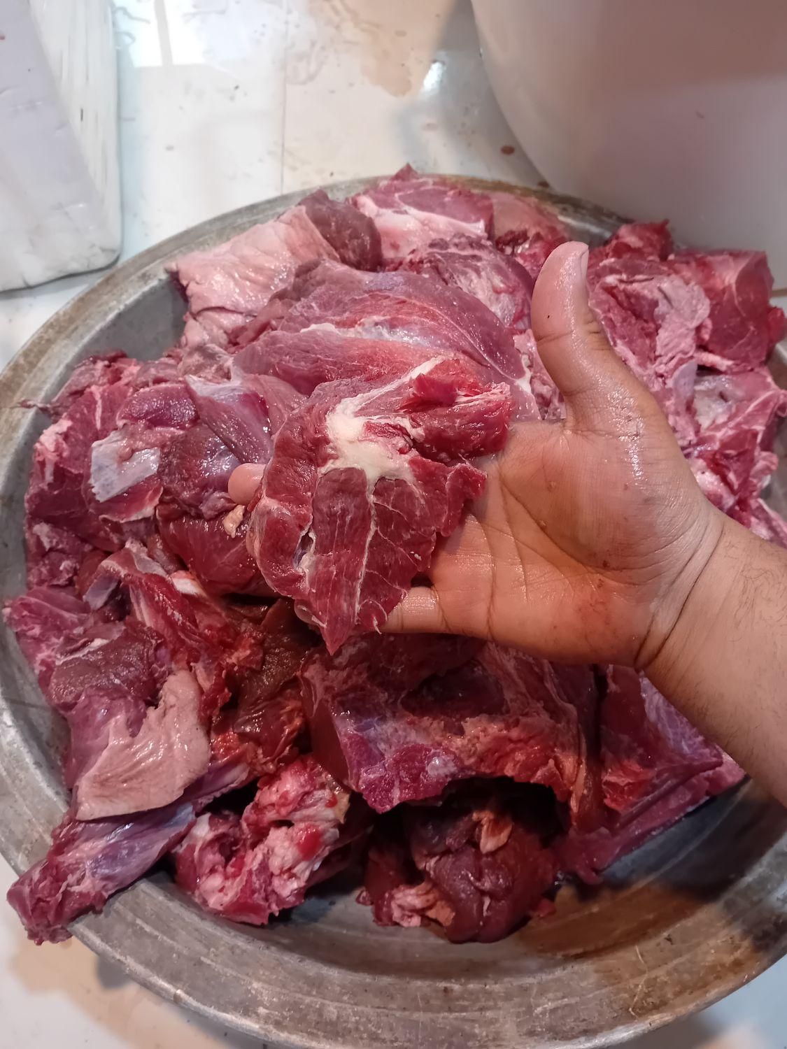 خرده گوشت تکه گوشت چرخکره گرم و تازه روز|خوردنی و آشامیدنی|تهران, بهمن یار|دیوار