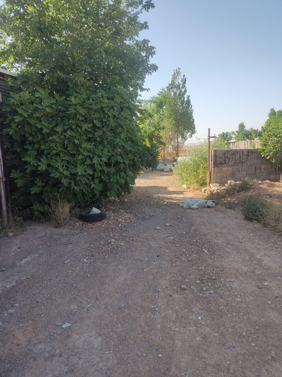 سوله ۱۸۰ و ۱۰۰ و 70دردکتر حسابی جهت انبار|اجارهٔ دفتر صنعتی، کشاورزی، تجاری|شیراز, شهرک گلدشت حافظ‎|دیوار