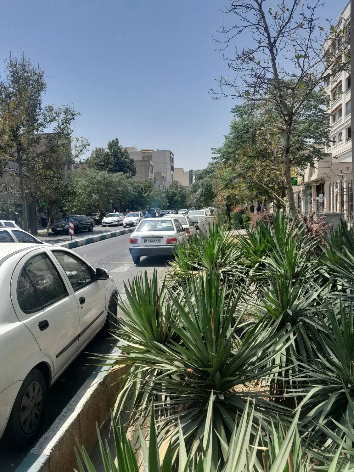 ۳۵۰ متر باشگاه ورزشی فلت|اجارهٔ مغازه و غرفه|تهران, نارمک|دیوار