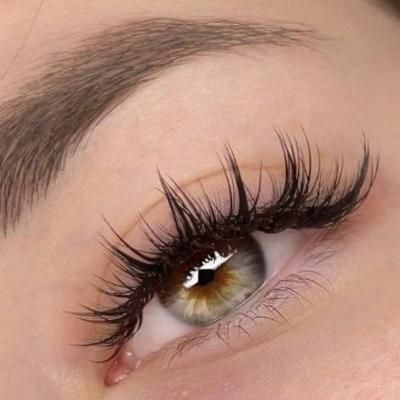 کاشت مژه|خدمات آرایشگری و زیبایی|اصفهان, پوریای ولی|دیوار