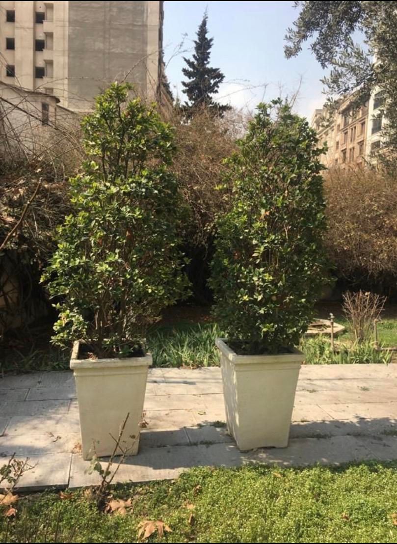 مشارکت، ۱۲۰۰ متر زمین، متل قو (سلمان شهر) دریاگوشه|مشارکت در ساخت املاک|سلمان‌شهر, |دیوار