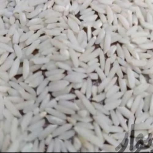 برنج دورود.برنج. سالم.برنج نیمدانه|خوردنی و آشامیدنی|دورود, |دیوار