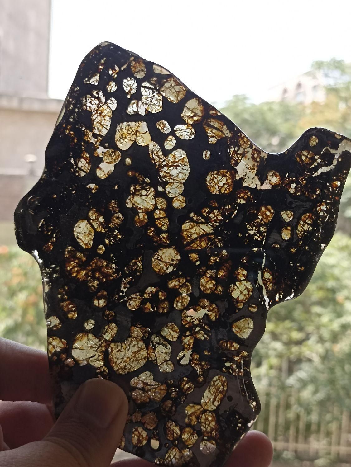 پالاسایت pallasite|کلکسیون اشیاء عتیقه|تهران, تجریش|دیوار