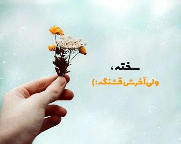 راهنمایی در زمینه آنلاین شاپ میخوام|فعالیت داوطلبانه|تهران, صادقیه|دیوار