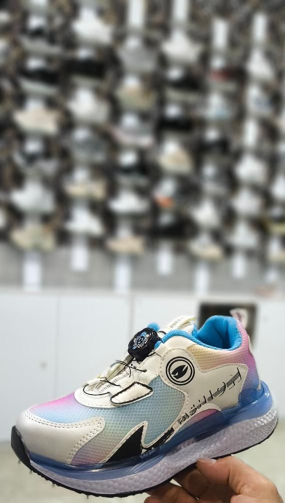 کیف و کفش|کیف، کفش، کمربند|بیرجند, |دیوار