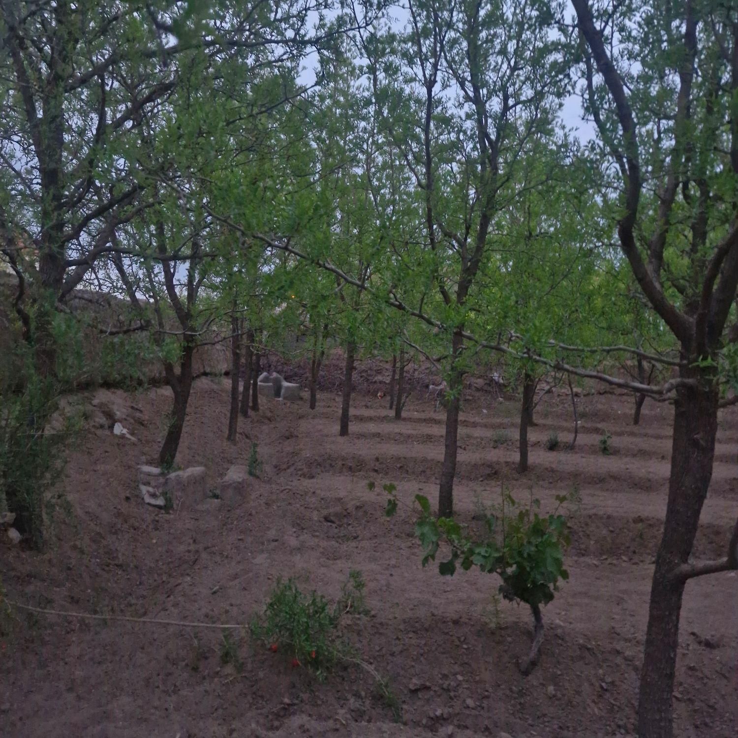تصویر 2