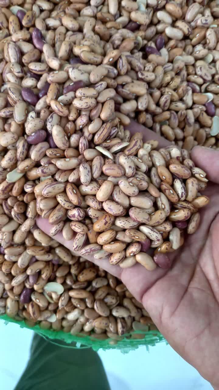 حبوبات|خوردنی و آشامیدنی|اصفهان, راران|دیوار