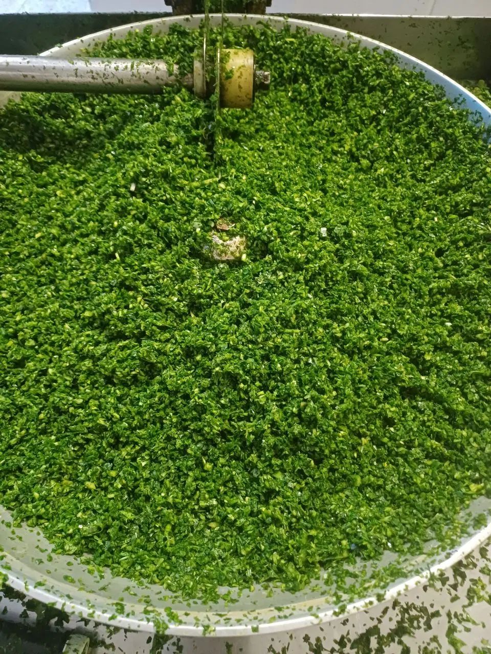 سبزیجات خورشتی|خوردنی و آشامیدنی|اصفهان, گورت|دیوار