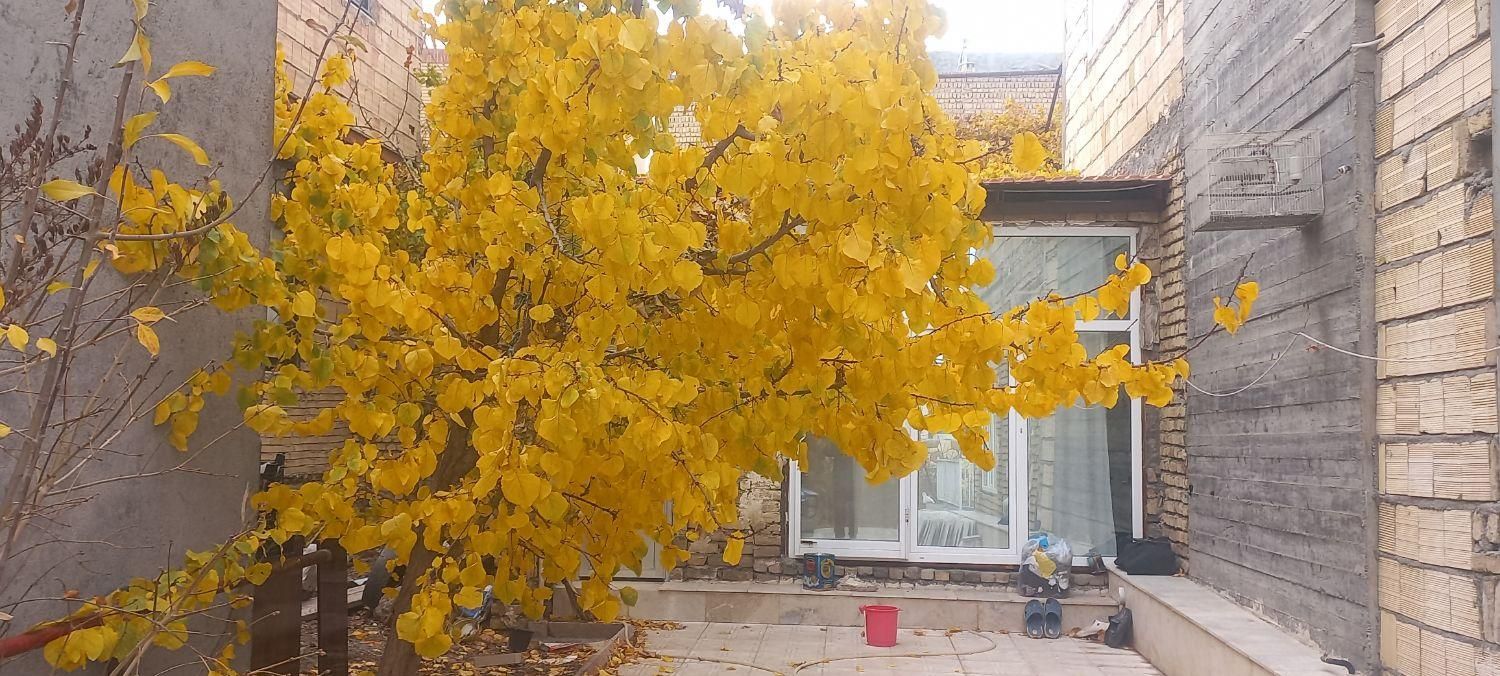 اجاره روزانه/ماهانه آپارتمان ۲۰۰وویلاآبگرم۵۰۰متری|اجارهٔ کوتاه‌مدت آپارتمان و سوئیت|شاندیز, |دیوار