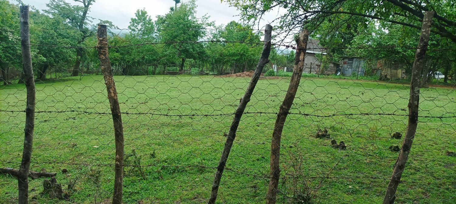 زمین مستثنیات دار  دارای کاربری کشاورزی ‌باغی|فروش زمین و ملک کلنگی|رضوانشهر, |دیوار