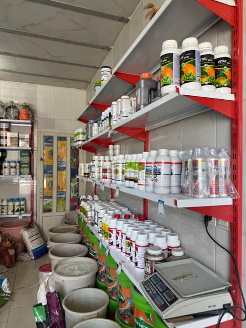 خدمات کشاورزی اسماعیلی|خدمات باغبانی و درختکاری|اصفهان, خاتونآباد|دیوار