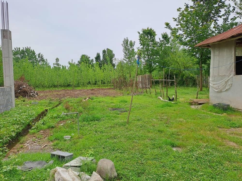 زمین 8000 متری لاهیجان ویو ابدی مناسب گلخانه|فروش زمین و ملک کلنگی|لاهیجان, آهندان|دیوار