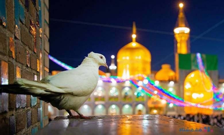 تور ریلی  مشهد مقدس|تور و چارتر|تهران, صادقیه|دیوار