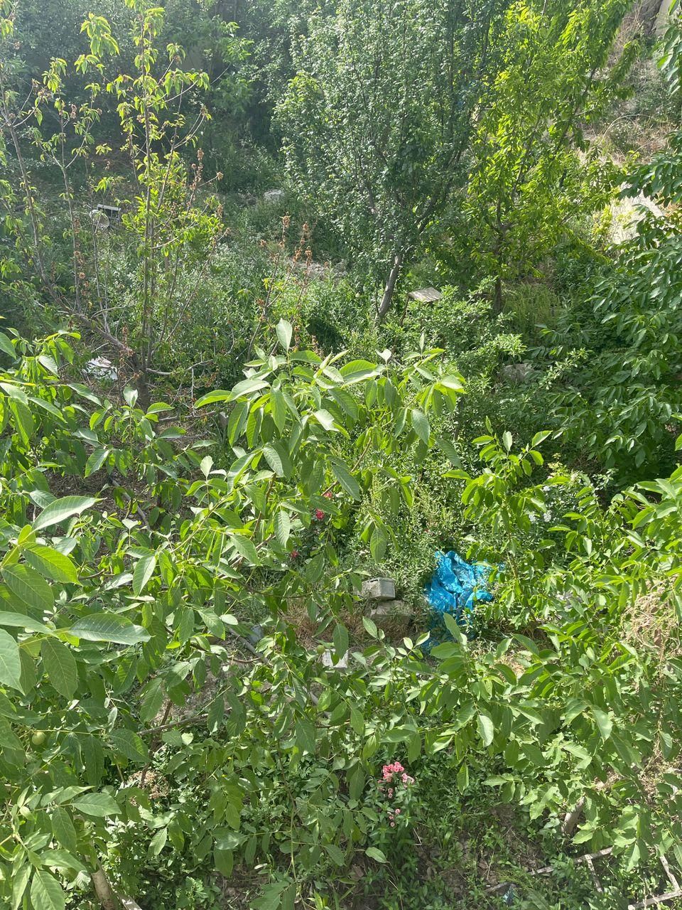 باغچه نقلی با عشق ۲۵۰ زمین ۴۰ بنا ناب در *مهراباد*|فروش خانه و ویلا|رودهن, |دیوار
