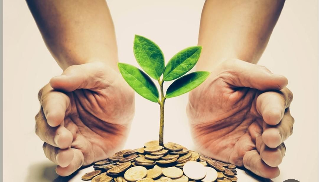 نیاز به راهنمایی مالی دارم|فعالیت داوطلبانه|رشت, استقامت ۱|دیوار