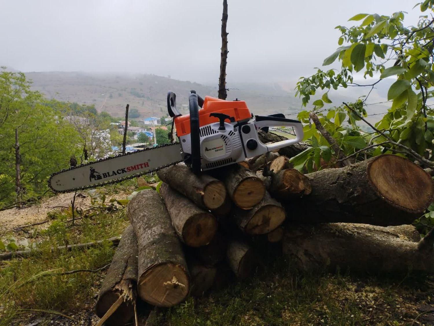 قطع وهرس درخت با اره موتور، فروش چوب گردو|خدمات باغبانی و درختکاری|چالوس, |دیوار