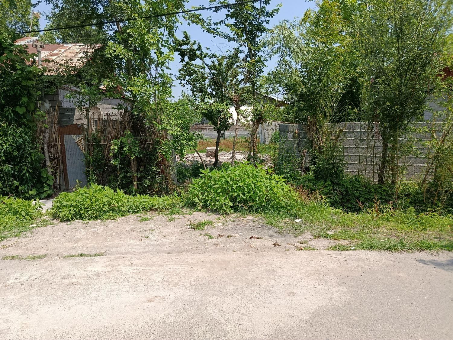 زمین دوردیوار مسکونی ۲۰۰متری گیلان رشت سنگر|فروش زمین و ملک کلنگی|سنگر, |دیوار