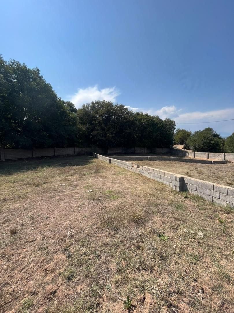 فرصت طلایی سرمایهگذاری در منطقهای خوشآبوهوا|فروش زمین و ملک کلنگی|کجور, |دیوار