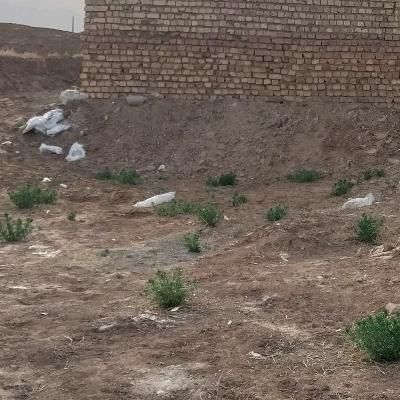 فروش زمین ۱۰۴ متری مزرعه ملاحبیب جاده قدیم|فروش زمین و ملک کلنگی|کاشان, مزرعه نو|دیوار