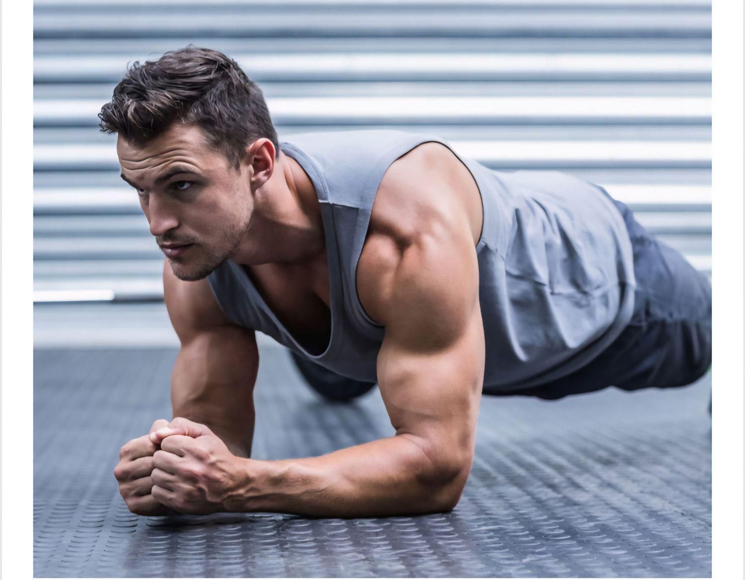 چربیسوزی. عضله. سوما|تجهیزات ورزشی|شیراز, ملاصدرا|دیوار