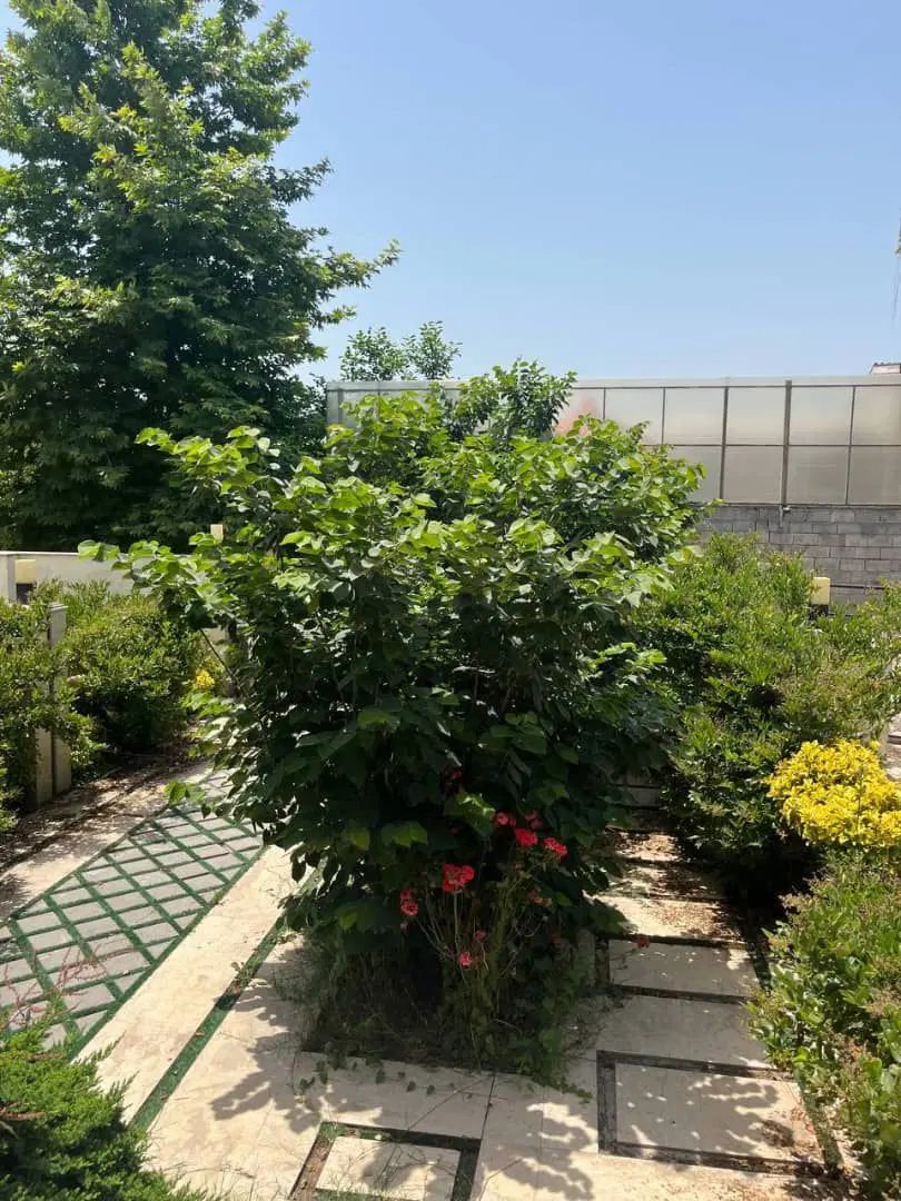 دوبلکس با روفگاردن و سندتکبرگ فقط ۲/۶۰۰ شما*ل|فروش خانه و ویلا|تهران, پاسداران|دیوار