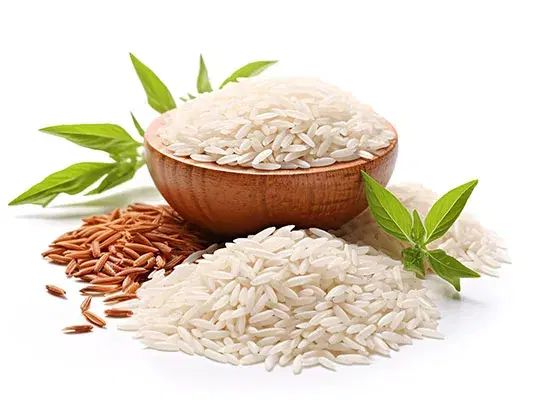 برنج هاشمی درجه یک گیلان|خوردنی و آشامیدنی|تهران, پرواز|دیوار