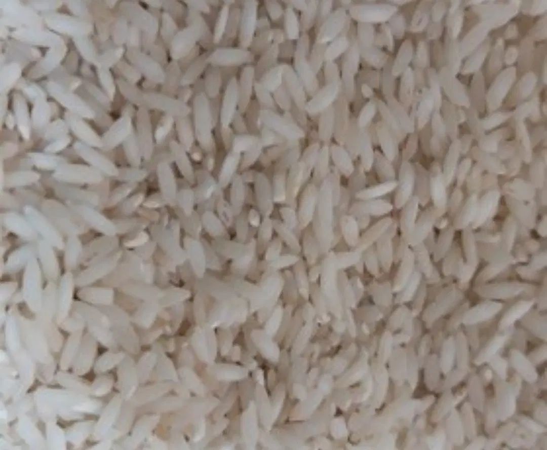 برنج چمپا یاسوج|خوردنی و آشامیدنی|تهران, توحید|دیوار