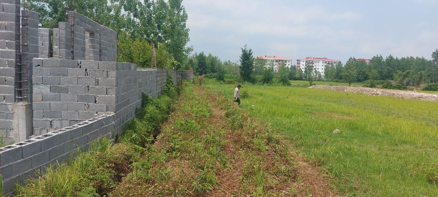 زمین مسکونی|فروش زمین و ملک کلنگی|رشت, لاکان شهر|دیوار