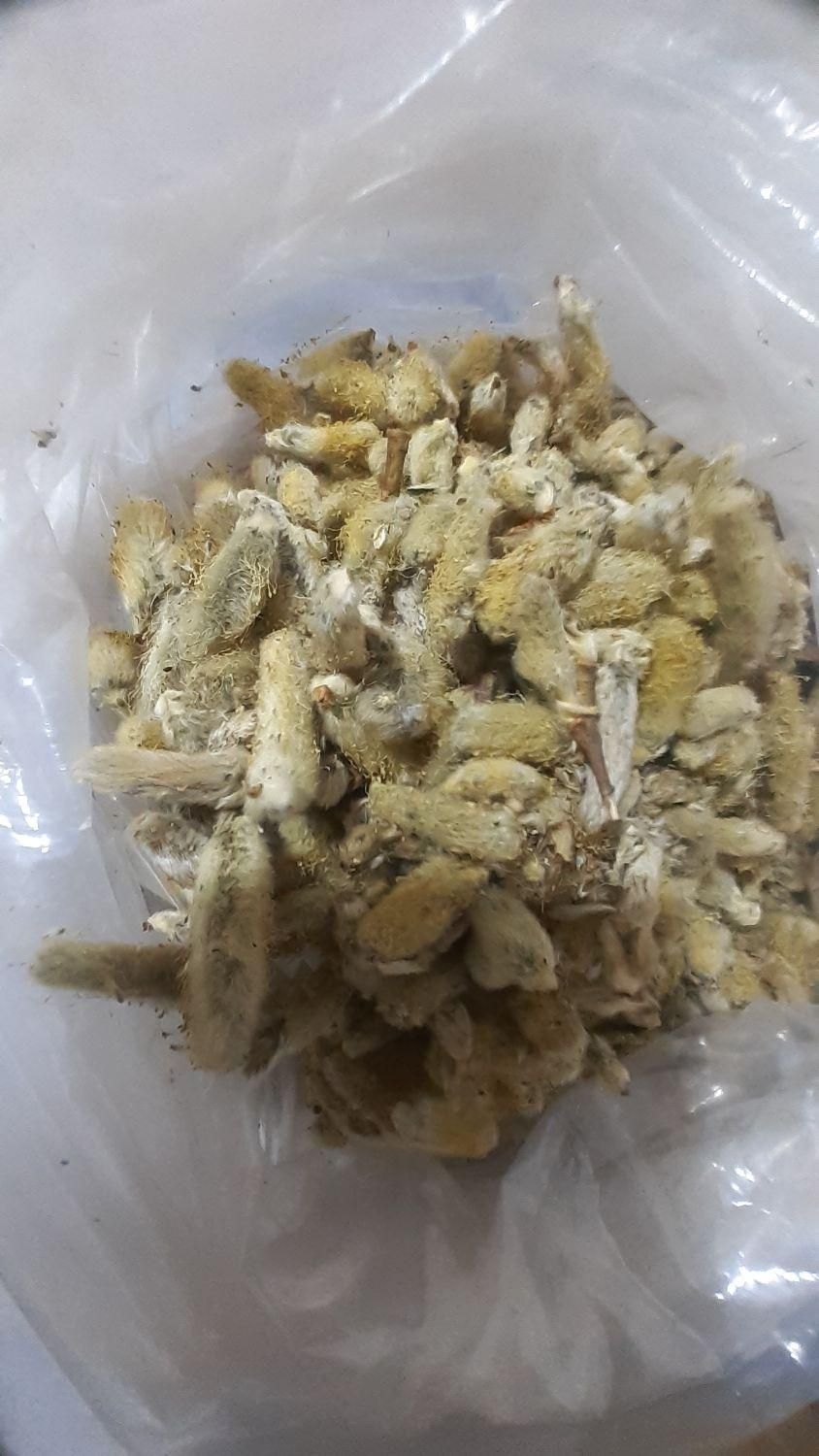 عطاری شیره میوه خرنوب اصل پلمپ معجون پک ناباروری|آرایشی، بهداشتی، درمانی|تهران, فرودگاه مهرآباد|دیوار