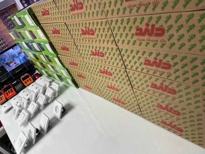 کلید ، پریز دلند آریا، آسا با تخفیف ۷درصد ازلیست|مصالح و تجهیزات ساختمان|ملایر, |دیوار