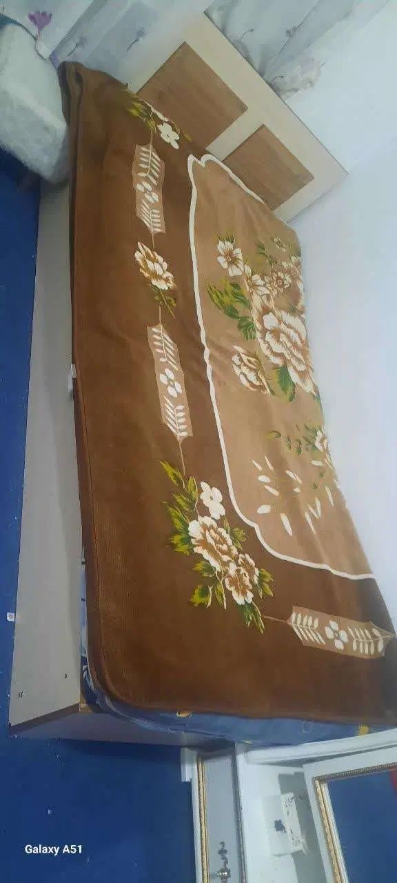 تخت دو طبقه|تخت و سرویس خواب|مشهد, نوفل لوشاتو|دیوار