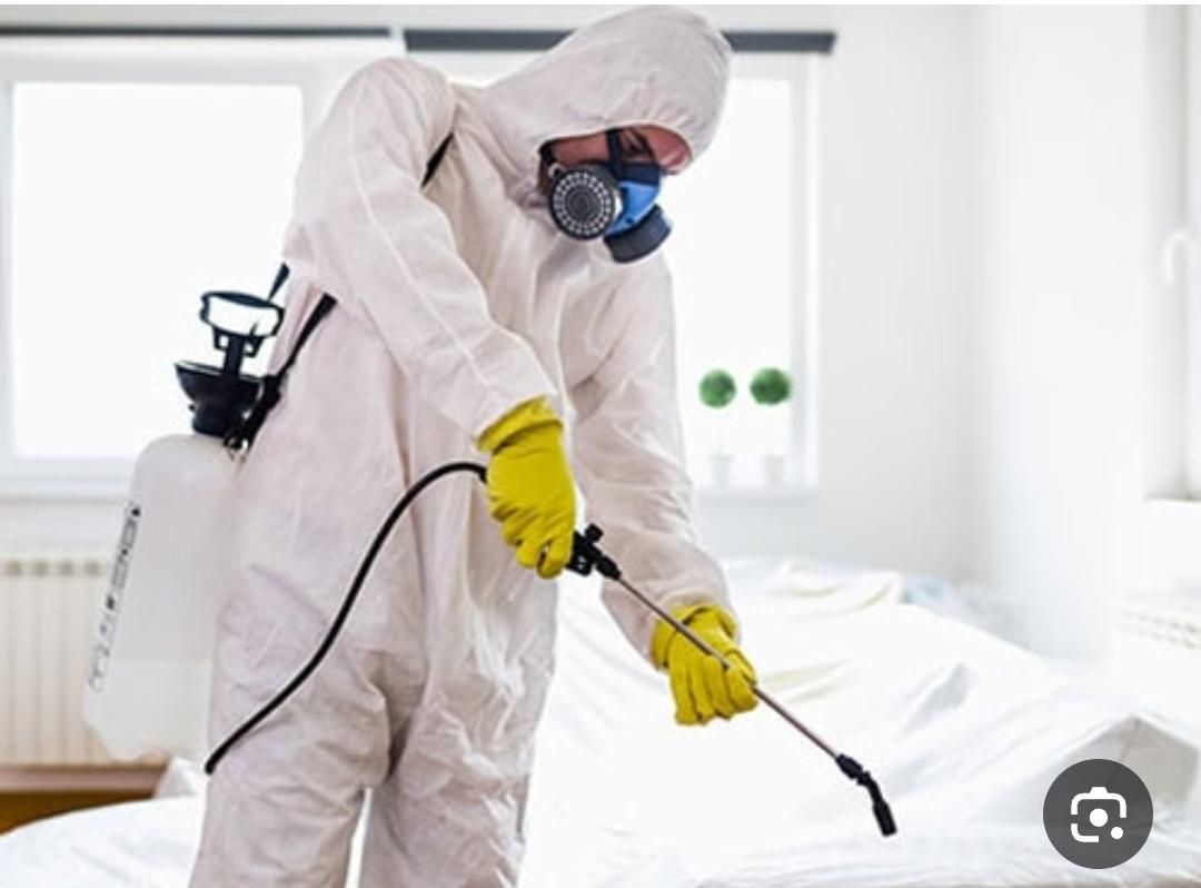 سم پاشی منازل و باغ و باغچه|خدمات نظافت|همدان, |دیوار