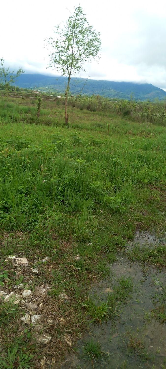 زمین تمام مسکونی تمام رویایی از املاک ابوالفضل|فروش زمین و ملک کلنگی|لاهیجان, کوی خزر|دیوار