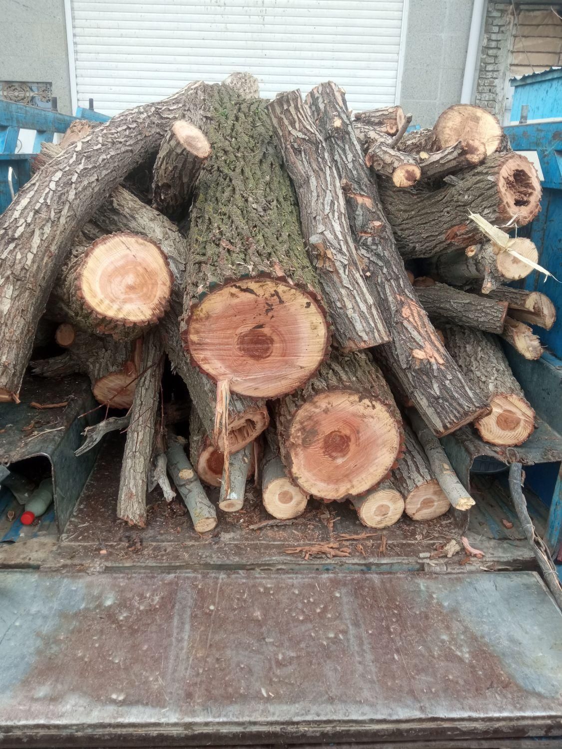 خریدار چوب|خدمات باغبانی و درختکاری|دورود, |دیوار